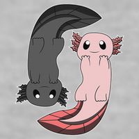 Funny Axolotl  I Yin Yang Reptile  Ladies PosiCharge Tri-Blend Wicking Tank