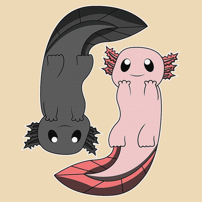 Funny Axolotl  I Yin Yang Reptile  Drawstring Bag