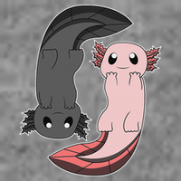 Funny Axolotl  I Yin Yang Reptile  Tall Hoodie