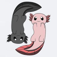 Funny Axolotl  I Yin Yang Reptile  Sueded Cloud Jersey T-Shirt