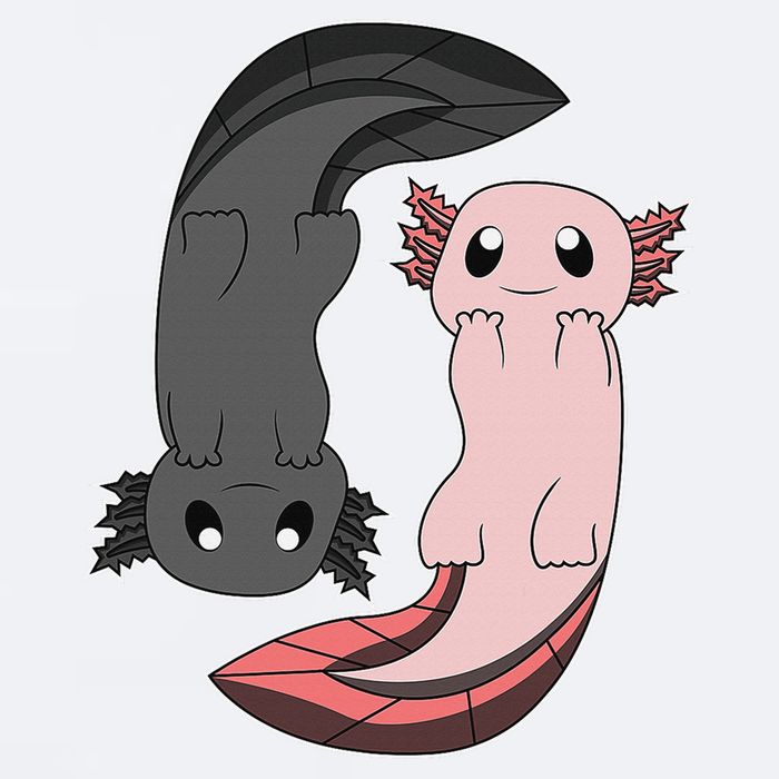 Funny Axolotl  I Yin Yang Reptile  Sueded Cloud Jersey T-Shirt