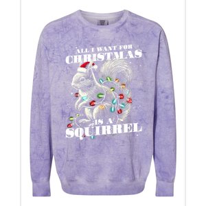 Funny All I Want For Christmas Is A Squirrel Gift Colorblast Crewneck Sweatshirt