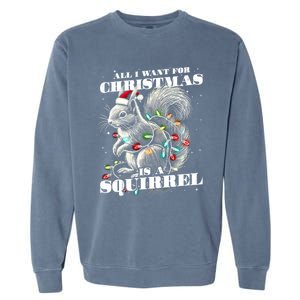 Funny All I Want For Christmas Is A Squirrel Gift Garment-Dyed Sweatshirt