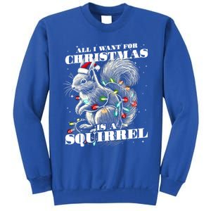 Funny All I Want For Christmas Is A Squirrel Gift Sweatshirt