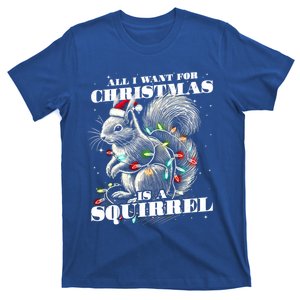 Funny All I Want For Christmas Is A Squirrel Gift T-Shirt