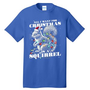 Funny All I Want For Christmas Is A Squirrel Gift Tall T-Shirt