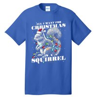 Funny All I Want For Christmas Is A Squirrel Gift Tall T-Shirt