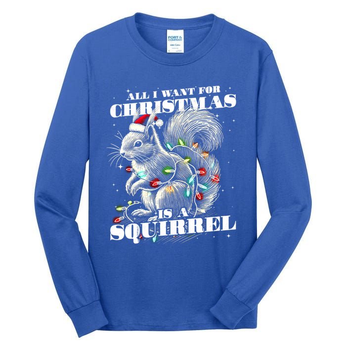 Funny All I Want For Christmas Is A Squirrel Gift Tall Long Sleeve T-Shirt