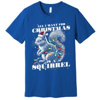 Funny All I Want For Christmas Is A Squirrel Gift Premium T-Shirt