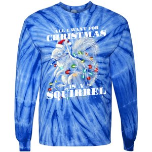 Funny All I Want For Christmas Is A Squirrel Gift Tie-Dye Long Sleeve Shirt