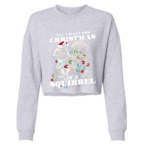 Funny All I Want For Christmas Is A Squirrel Gift Cropped Pullover Crew