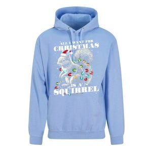 Funny All I Want For Christmas Is A Squirrel Gift Unisex Surf Hoodie