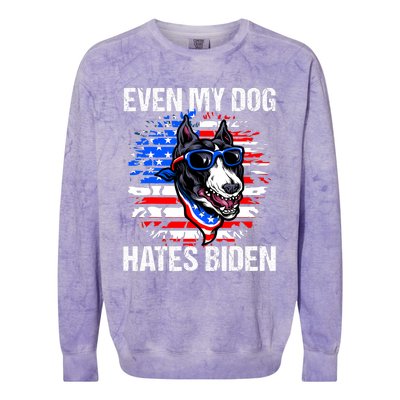 Funny Anti Joe Biden Even My Dog Hates Biden USA Flag Pibble Colorblast Crewneck Sweatshirt