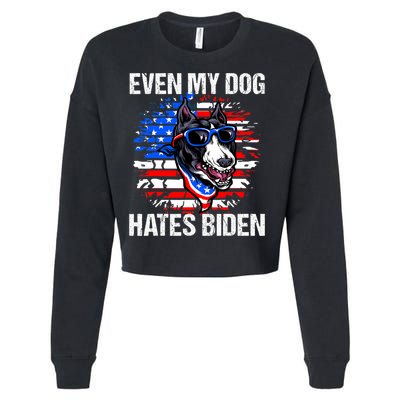 Funny Anti Joe Biden Even My Dog Hates Biden USA Flag Pibble Cropped Pullover Crew