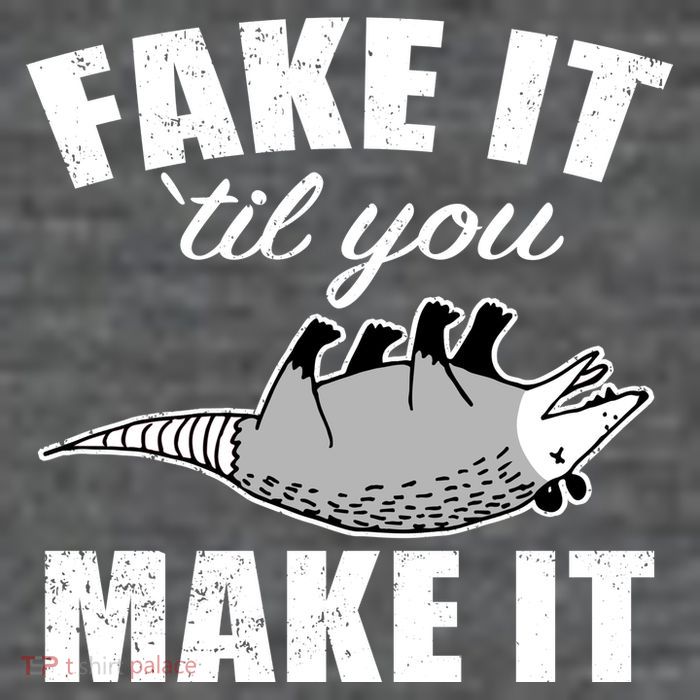 Fake It Or Make It Opossum Poster