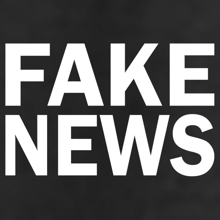 Fake News Bold Text Garment-Dyed Heavyweight T-Shirt