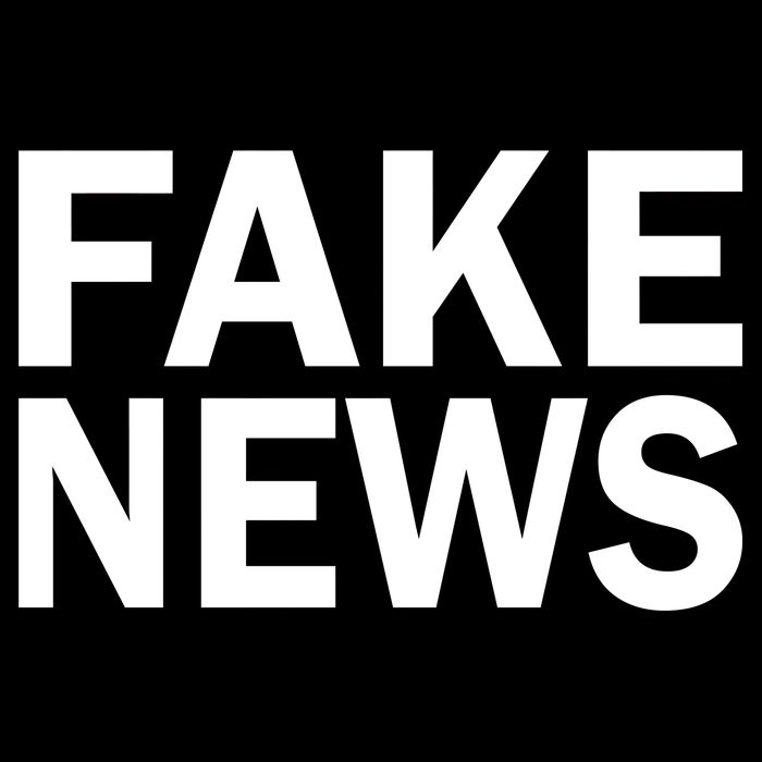 Fake News Bold Text Sustainable Bucket Hat