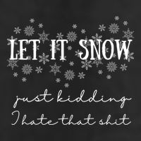 Funny Adult Let It Snow Just Ding Vulgar Sarcastic Cool Gift 11oz C Handle Ceramic Mug