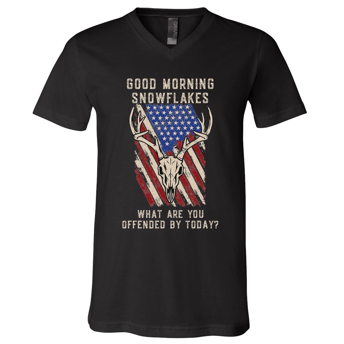Funny Anti Liberal Anti Woke Conservative V-Neck T-Shirt