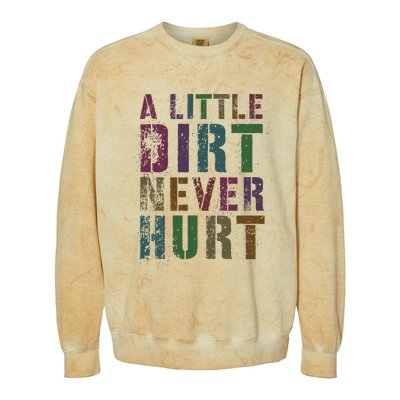 Funny A Little Dirt Never Hurt Gardening Bike Colorblast Crewneck Sweatshirt