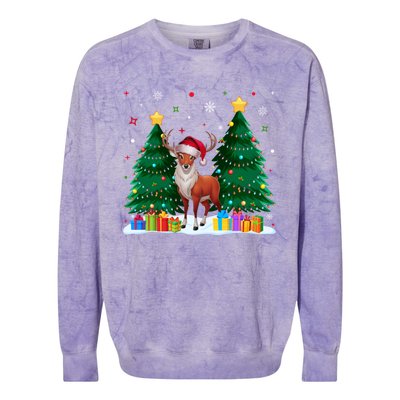 Funny Animal Lovers Deer Santa Hat Ugly Christmas Colorblast Crewneck Sweatshirt