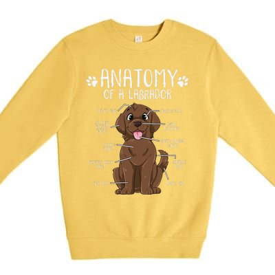 Funny Anatomy Labrador Retriever Chocolate Lab Dog Owner Premium Crewneck Sweatshirt