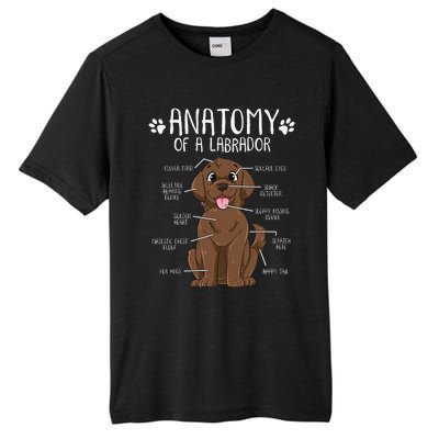 Funny Anatomy Labrador Retriever Chocolate Lab Dog Owner Tall Fusion ChromaSoft Performance T-Shirt