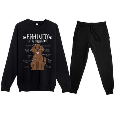 Funny Anatomy Labrador Retriever Chocolate Lab Dog Owner Premium Crewneck Sweatsuit Set