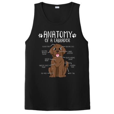 Funny Anatomy Labrador Retriever Chocolate Lab Dog Owner PosiCharge Competitor Tank