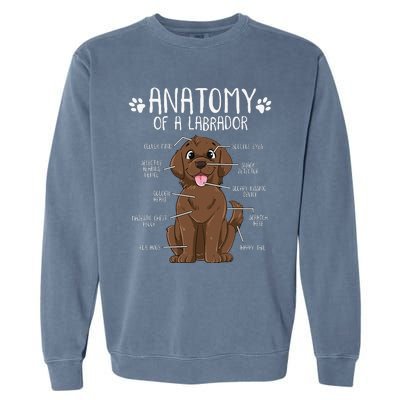 Funny Anatomy Labrador Retriever Chocolate Lab Dog Owner Garment-Dyed Sweatshirt