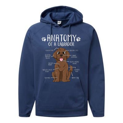 Funny Anatomy Labrador Retriever Chocolate Lab Dog Owner Performance Fleece Hoodie