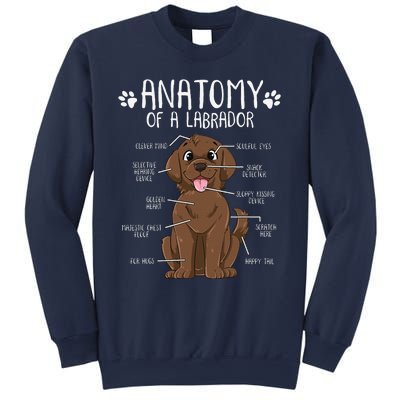 Funny Anatomy Labrador Retriever Chocolate Lab Dog Owner Sweatshirt