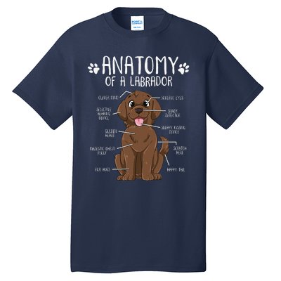 Funny Anatomy Labrador Retriever Chocolate Lab Dog Owner Tall T-Shirt