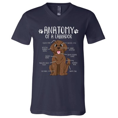 Funny Anatomy Labrador Retriever Chocolate Lab Dog Owner V-Neck T-Shirt