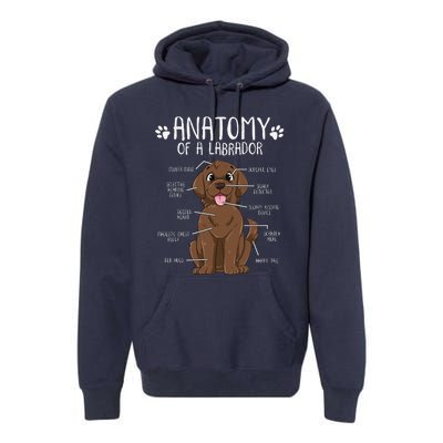 Funny Anatomy Labrador Retriever Chocolate Lab Dog Owner Premium Hoodie