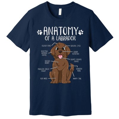 Funny Anatomy Labrador Retriever Chocolate Lab Dog Owner Premium T-Shirt