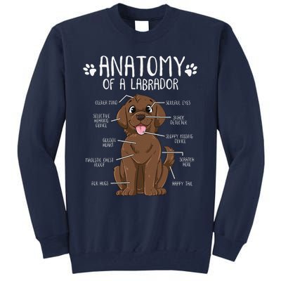 Funny Anatomy Labrador Retriever Chocolate Lab Dog Owner Tall Sweatshirt