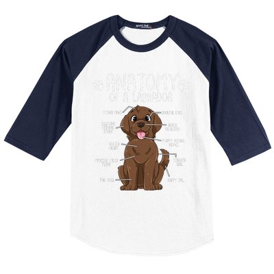 Funny Anatomy Labrador Retriever Chocolate Lab Dog Owner Baseball Sleeve Shirt