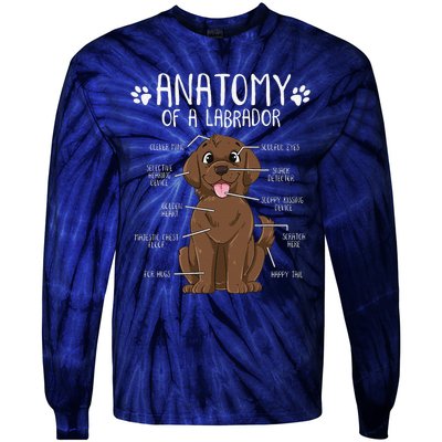 Funny Anatomy Labrador Retriever Chocolate Lab Dog Owner Tie-Dye Long Sleeve Shirt