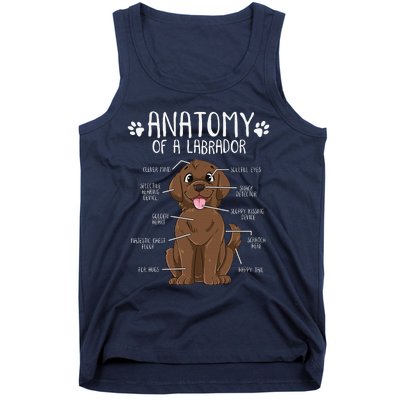 Funny Anatomy Labrador Retriever Chocolate Lab Dog Owner Tank Top