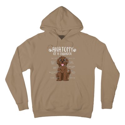 Funny Anatomy Labrador Retriever Chocolate Lab Dog Owner Hoodie