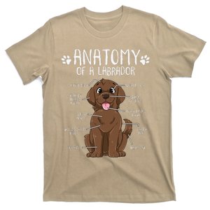 Funny Anatomy Labrador Retriever Chocolate Lab Dog Owner T-Shirt