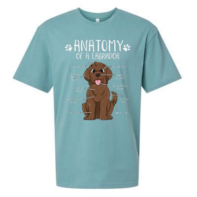 Funny Anatomy Labrador Retriever Chocolate Lab Dog Owner Sueded Cloud Jersey T-Shirt