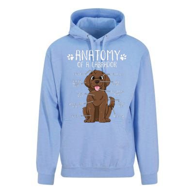 Funny Anatomy Labrador Retriever Chocolate Lab Dog Owner Unisex Surf Hoodie