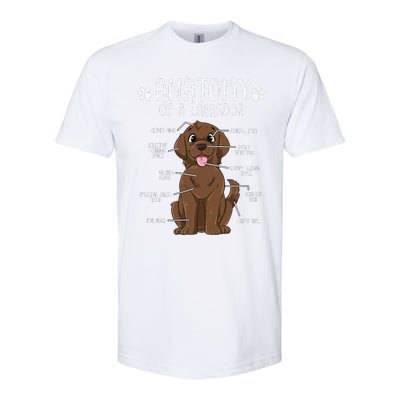 Funny Anatomy Labrador Retriever Chocolate Lab Dog Owner Softstyle CVC T-Shirt