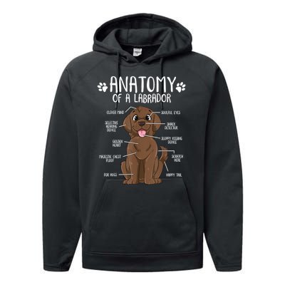 Funny Anatomy Labrador Retriever Chocolate Lab Dog Owner Performance Fleece Hoodie