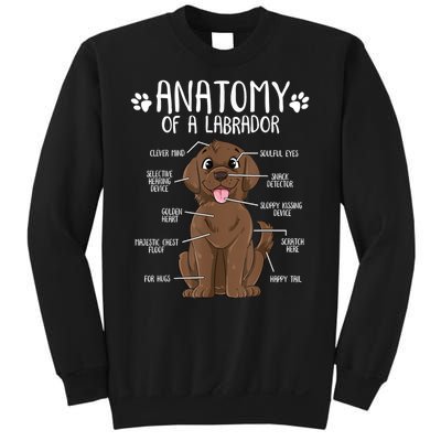 Funny Anatomy Labrador Retriever Chocolate Lab Dog Owner Sweatshirt