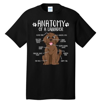 Funny Anatomy Labrador Retriever Chocolate Lab Dog Owner Tall T-Shirt