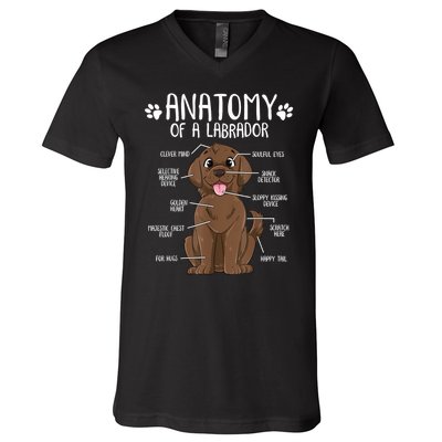 Funny Anatomy Labrador Retriever Chocolate Lab Dog Owner V-Neck T-Shirt