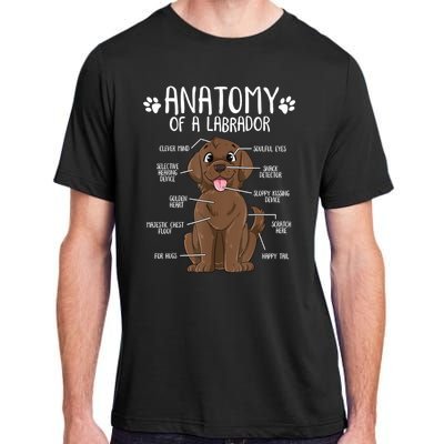 Funny Anatomy Labrador Retriever Chocolate Lab Dog Owner Adult ChromaSoft Performance T-Shirt